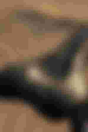 Close-up of a black bicycle saddle with "6012" and "5014G" markings, set against a blurred sandy background.