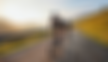 sqlab.simple.stage.rennrad.sudelfeld.2024.byUrsGolling.0057