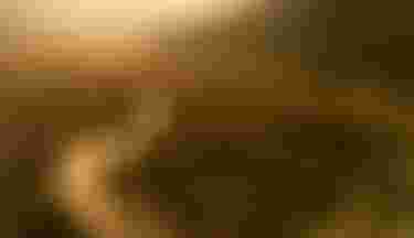 SQlab MTB EMTB Lifestyle