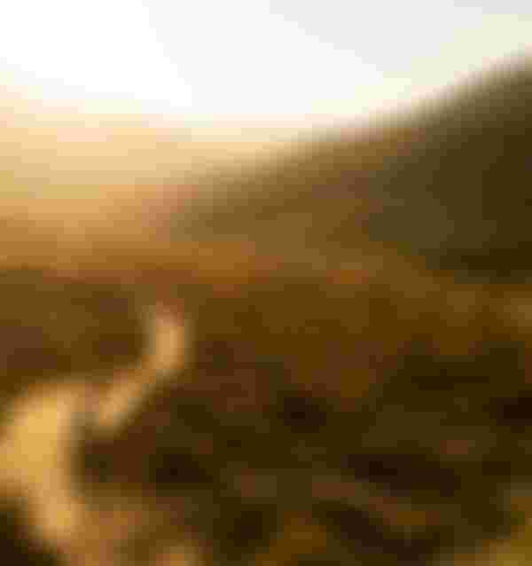 SQlab MTB EMTB Lifestyle