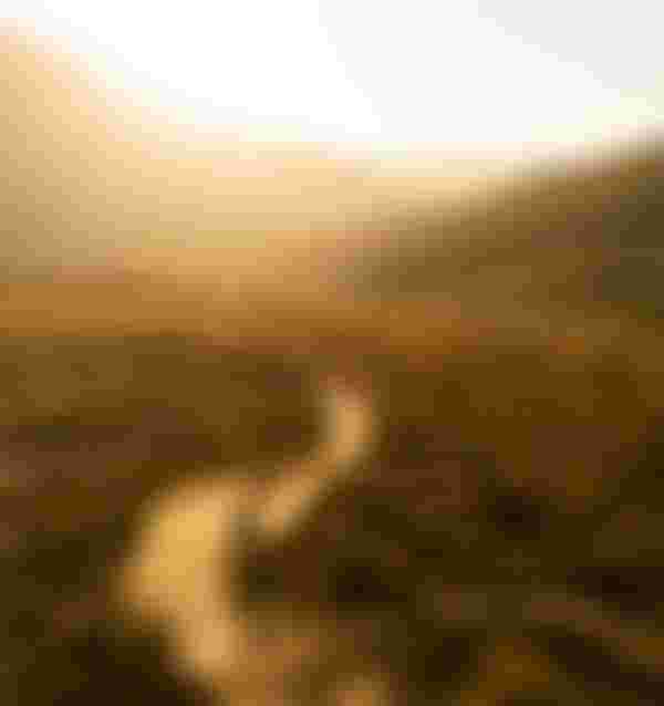 SQlab MTB EMTB Lifestyle