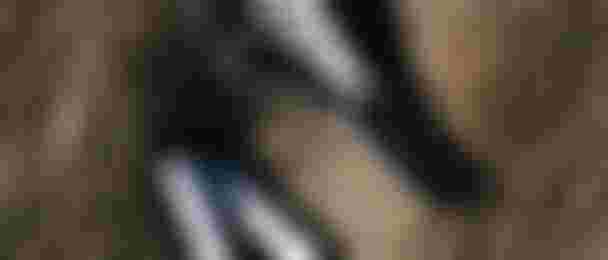 260321_12_sqlab_ion_limited_editions