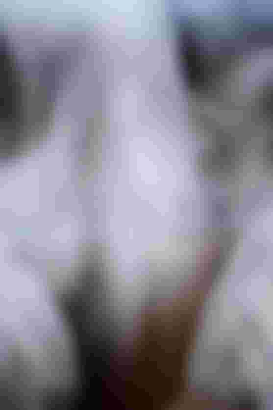 SQlab_breathability_ONE12_pants
