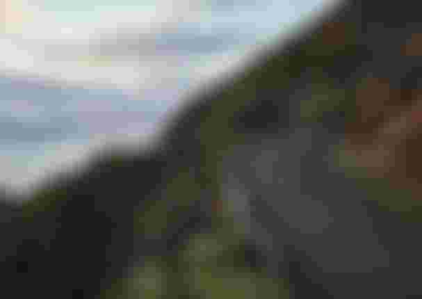 0270_SQlab_Madeira_Rennrad