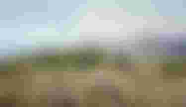 sqlabmtbmadeira2025byUrsGolling0188_grip_pressure_mapping