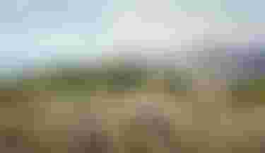 sqlabmtbmadeira2025byUrsGolling0188_grip_pressure_mapping