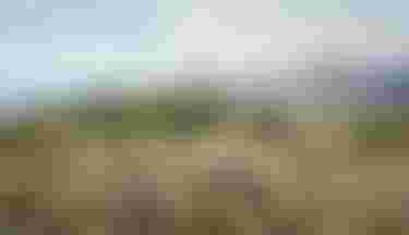 sqlabmtbmadeira2025byUrsGolling0188_grip_pressure_mapping