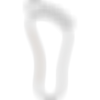 sqlab.ergonomie.vermessungskonzepte.fussvermessung.fussabdruck.flachfuss.flat.arch