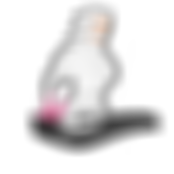 sqlab.ergonomie.steissbein.schmerzen.anatomie.frau.seite.sattel.Random.Becken.Steißbein.schlecht.SIDE