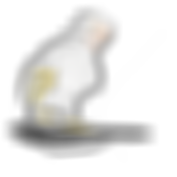 sqlabergonomiebeckenanatomiefrauseitesattel61221BeckenSIDE