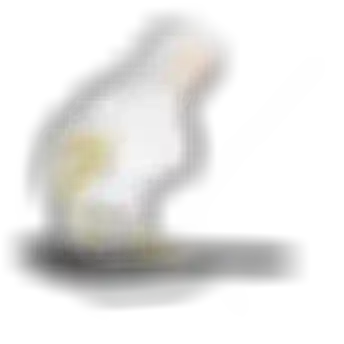 sqlabergonomiebeckenanatomiefrauseitesattel61221BeckenSIDE