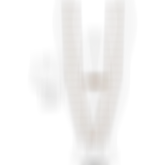 sqlab.ergonomie.vermessungskonzepte.fussvermessung.beinachse.o-bein.bow.leg