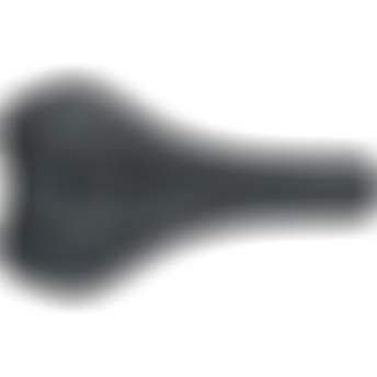 sqlabgrauermtbsattel6OXergowaveactive21ltdionTOPP