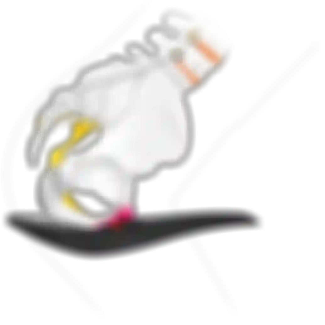 sqlabergonomiebeckenanatomiefrauseitesattelRandomsportSIDE