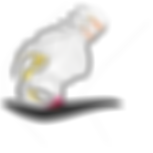 sqlabergonomiebeckenanatomiefrauseitesattelRandomsportSIDE