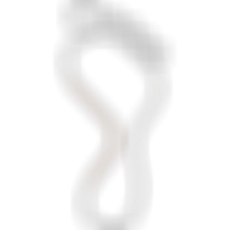 sqlab.ergonomie.vermessungskonzepte.fussvermessung.fussabdruck.normalfuss.medium.arch