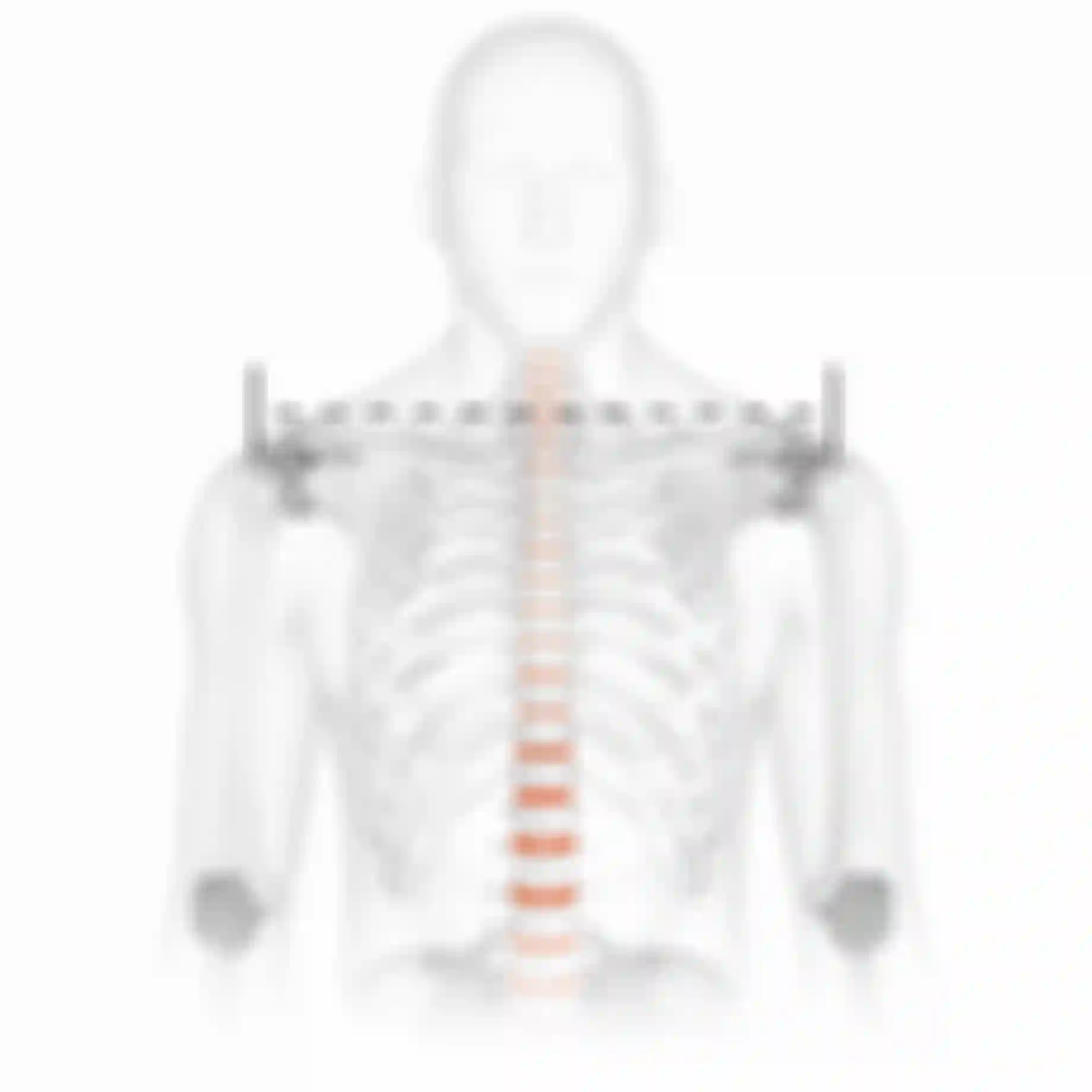 sqlab-anatomie-schulterbreite-dropbar-lenker