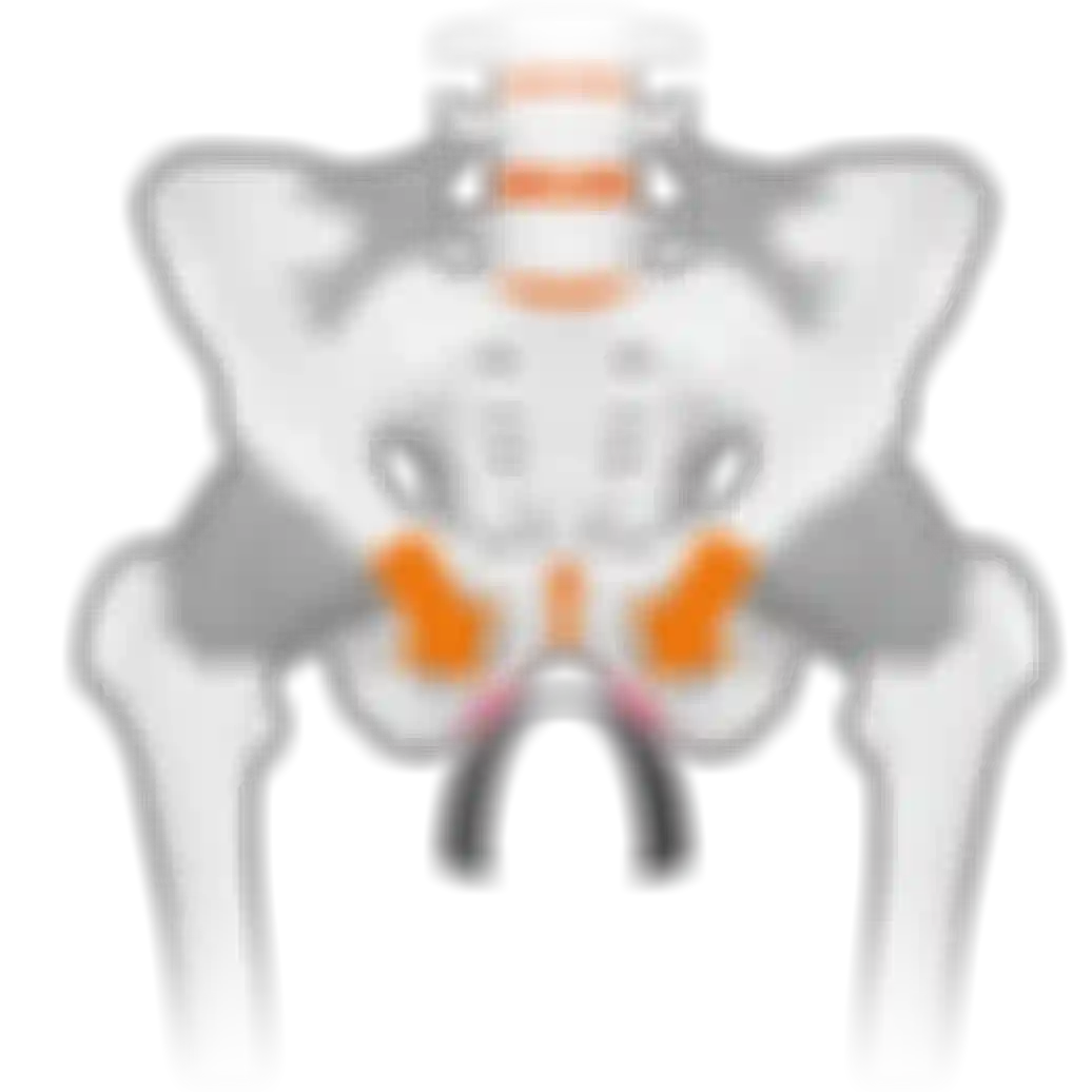 sqlabergonomiebeckenanatomiemannvorneSattelRandomschmerzpfeile2FRONT