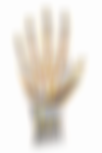 sqlabPanelTeasergriffpraesentationhand500x500
