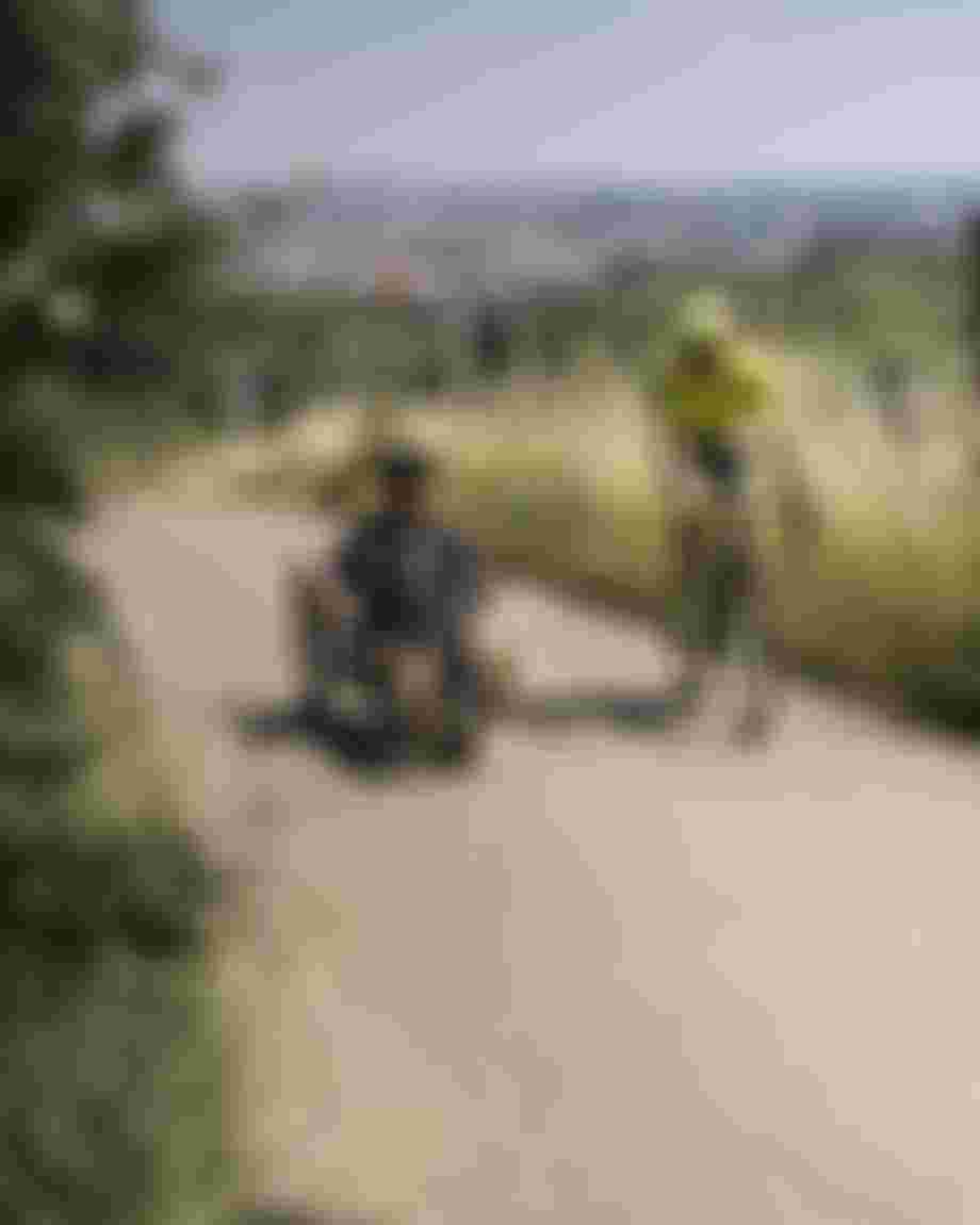 Two cyclists riding on a paved country road in a rolling landscape. One cyclist rides a recumbent bike with an orange safety flag, the other a road bike. Fields, meadows, and a distant city skyline are visible in the background under a blue sky, with trees and tall grass framing the foreground.