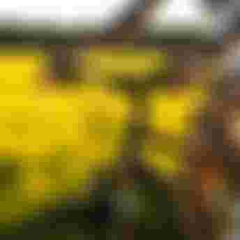 sqlab-trekking-lifestyle