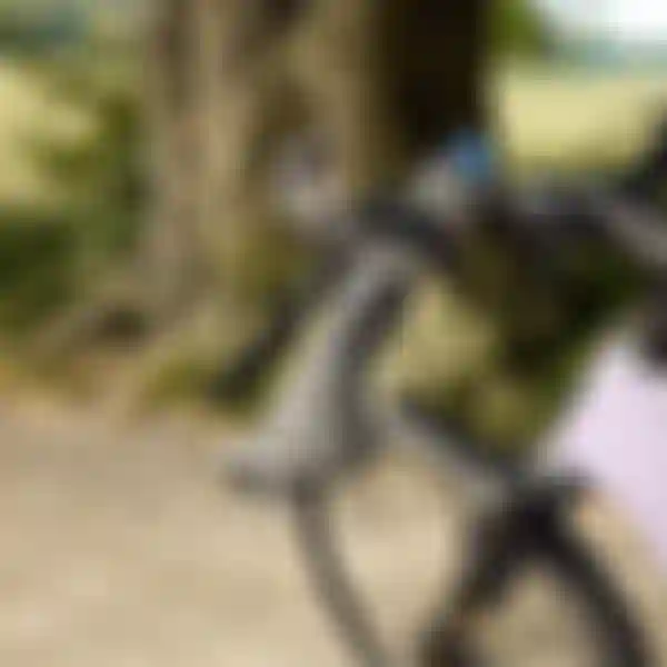 Close-up of a trekking bike cockpit with ergonomic handlebar, grips and controls on a forest path, designed for a comfort-oriented riding position.