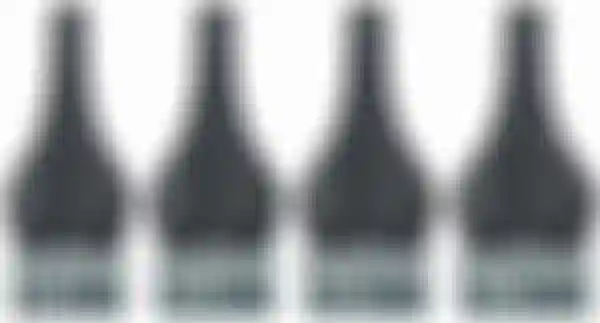 Four bicycle saddles shown side by side in different widths, labeled 13 cm, 14 cm, 15 cm, and 16 cm.