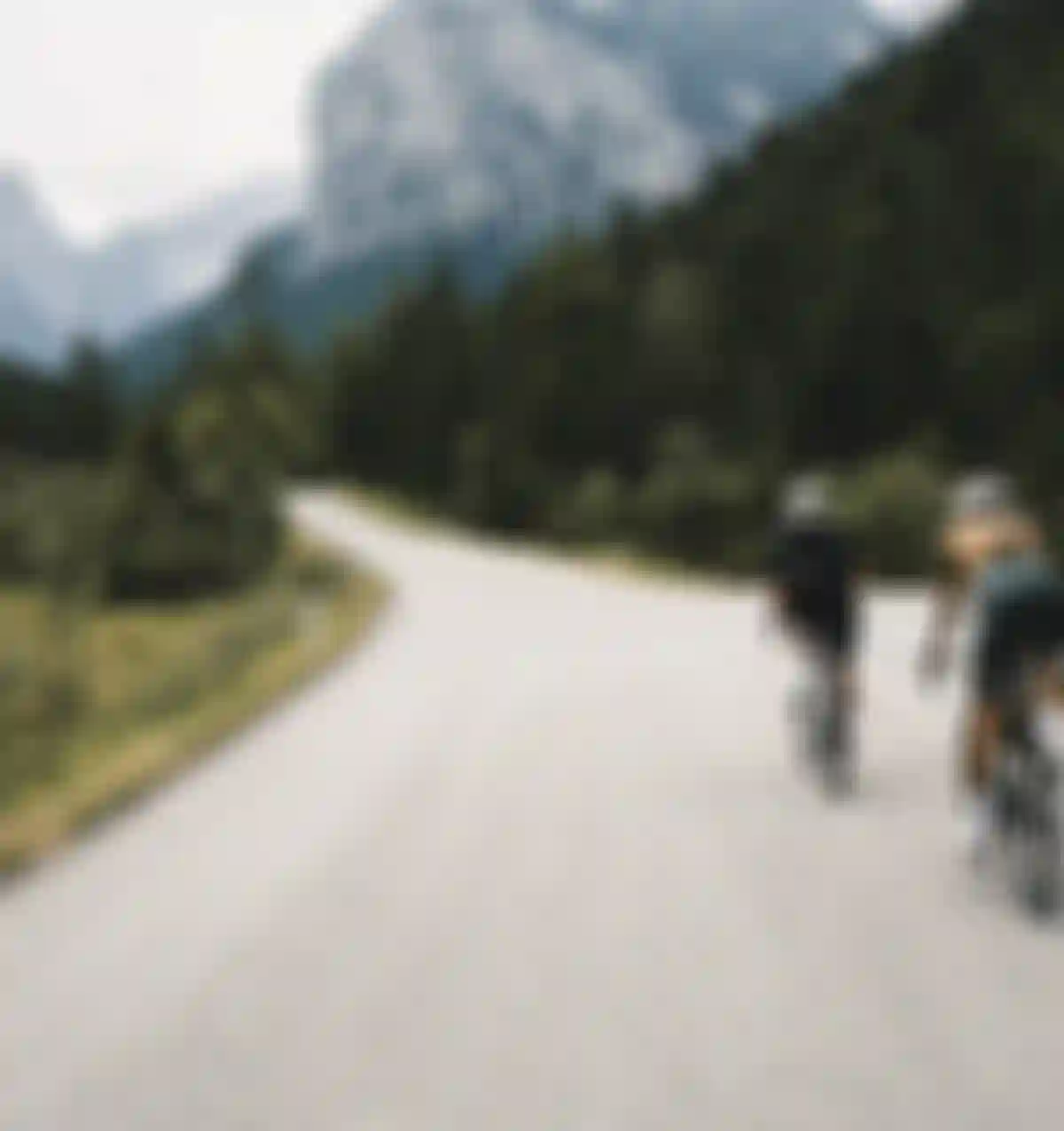 Cowlands_LP-Header