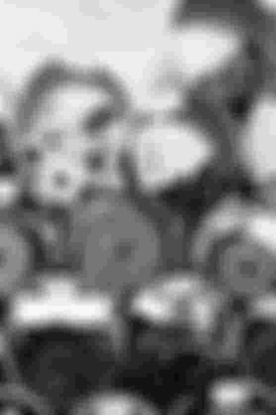 sqlab_materials