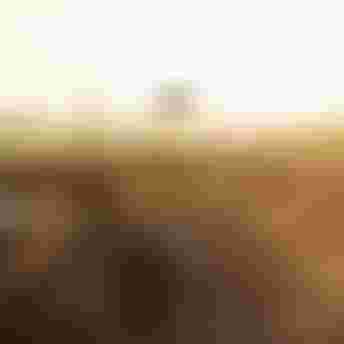 SQlab 6OX Dirt ltd Stevie