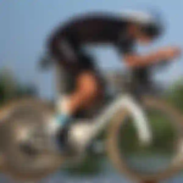sqlabeinsatzbereichmasonrytriathlon658x496px