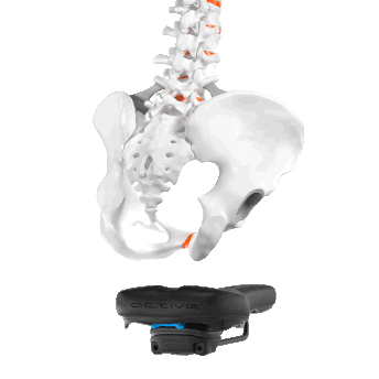 sqlabergonomieactivetechnologie602active2