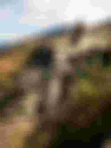 Two mountain bikers ride down a dusty trail on a hillside, surrounded by grass and distant mountains under a clear sky.