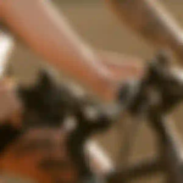 Close-up of two cyclists' tattooed arms gripping the handlebars of their bikes during a ride in soft sunlight.