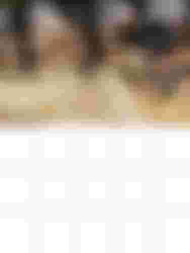 sqlabbanner710campaignmobile768x600px0525