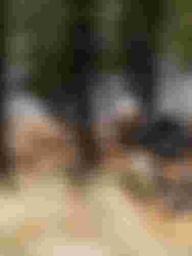 sqlabbanner710campaignmobile768x600px0525