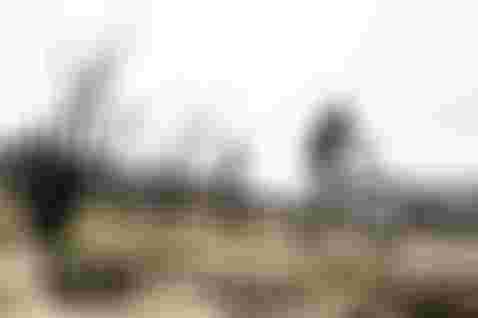 _photo_BartekWolinski_@wolisphoto_DSC1546