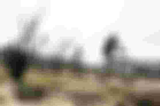 _photo_BartekWolinski_@wolisphoto_DSC1546