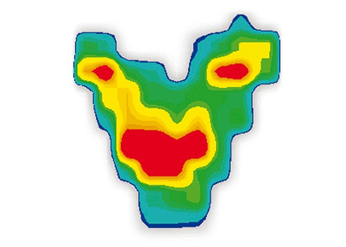 Pressure mapping of a typical saddle